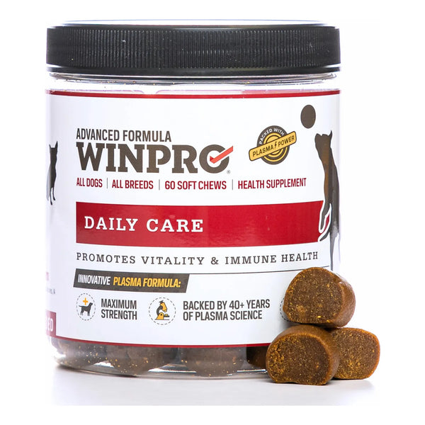 Masticables Saludables Para Perros 40 Unidades Suplemento Inmunidad Y Vitalidad