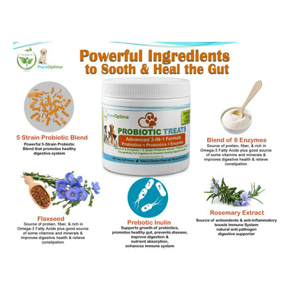 Probióticos Masticables Para Perros Con Enzimas Digestivas Mejora La Salud Intestinal