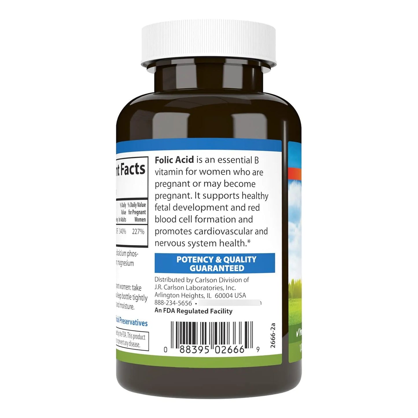 Ácido Fólico 800 Mcg Apoyo Prenatal 1000 Tabletas