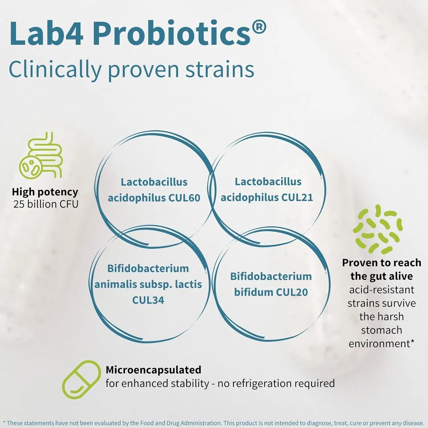 Probióticos Prebióticos 25 Mil Millones UFC Lactobacillus Acidophilus Salud Intestinal Vegano
