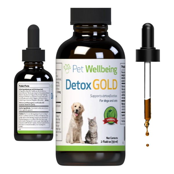 Detox Gold Para Perros Suplemento Natural Desintoxicante Y Fortalecedor Inmunologico