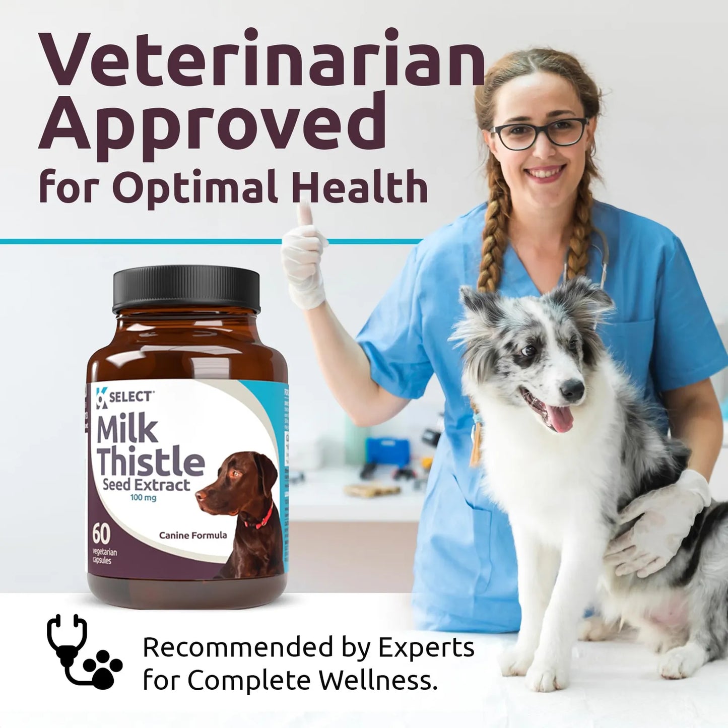 Cardo Mariano Para Perros 100 Mg 60 Cápsulas Salud Hepática Canina