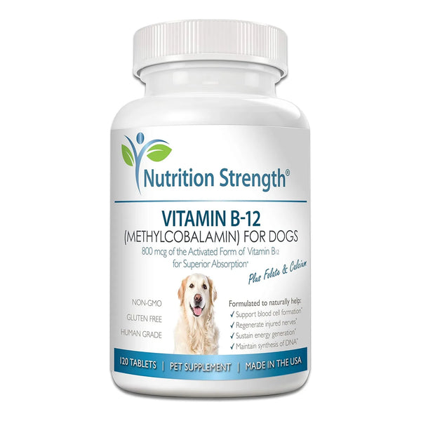 Vitamina B12 Folato Calcio Para Perros 120 Tabletas Masticables Sistema Nervioso Y Energía