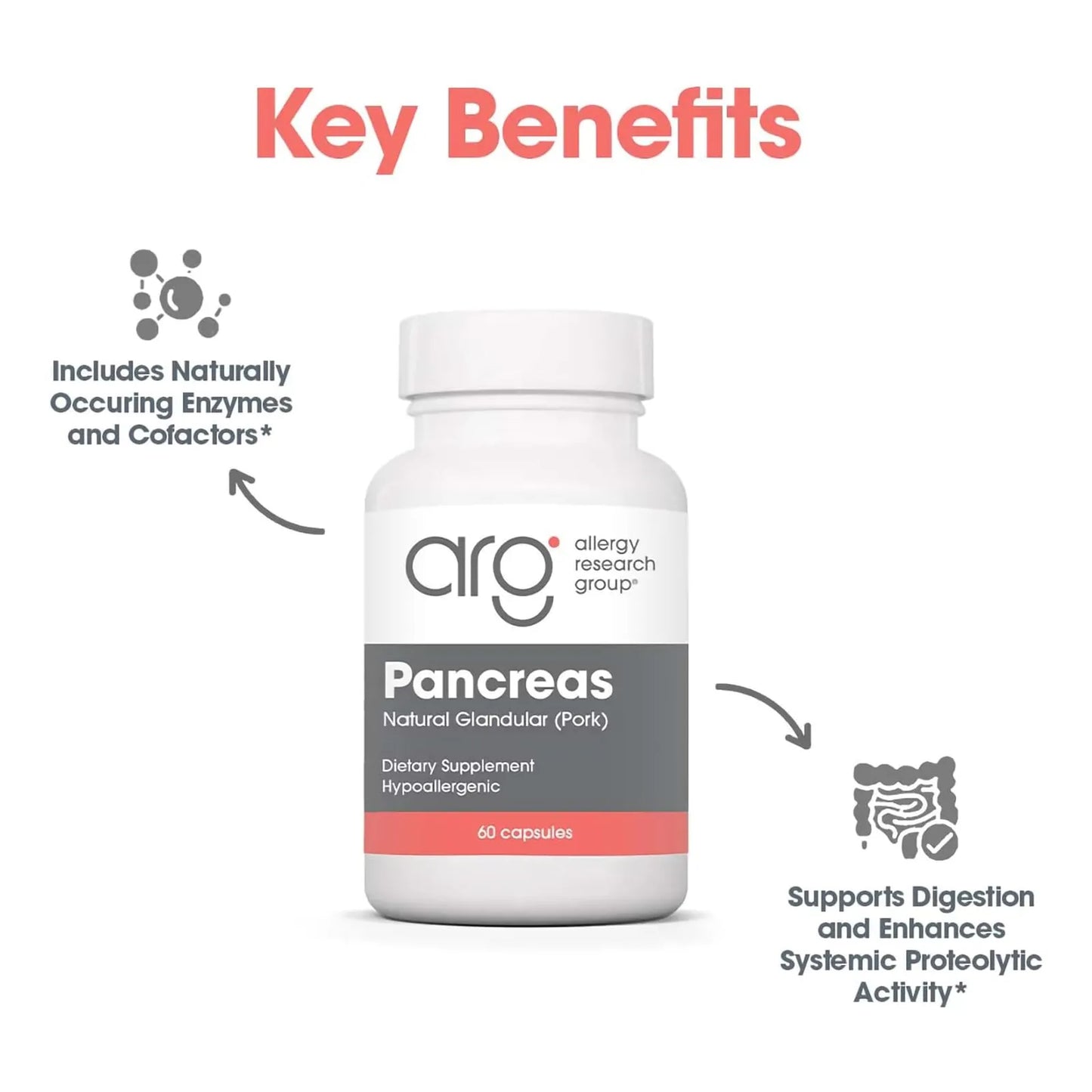 Páncreas Natural Glandular 425 Mg Con Enzimas Digestivas Ami