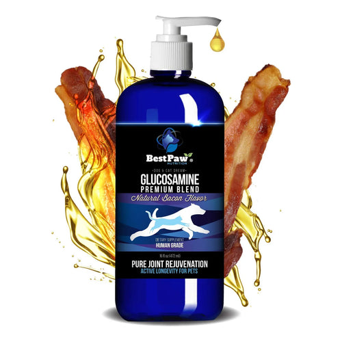 Glucosamina Premium Medicina Natural Anti Envejecimiento Para Perros Y Gatos Alivia Artritis Y Displasia