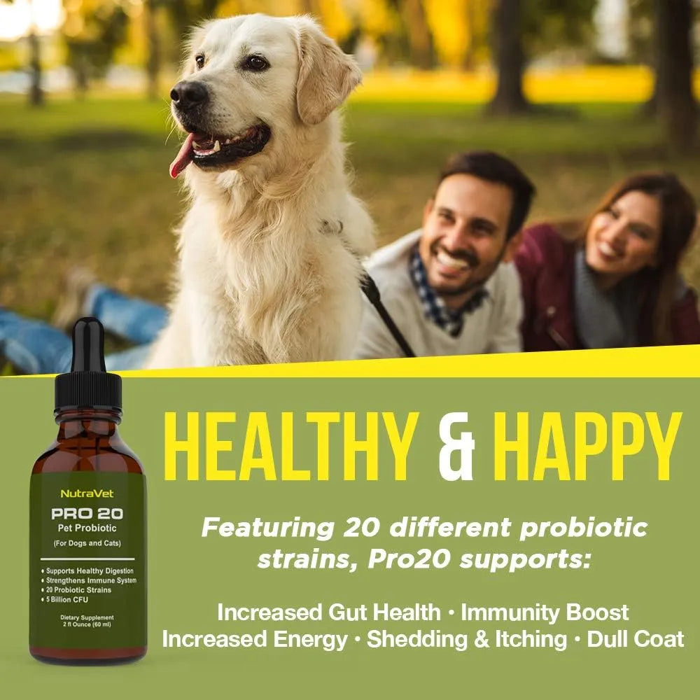 Probióticos Naturales Para Perros Y Gatos 120 Porciones Enzi Digestión Saludable