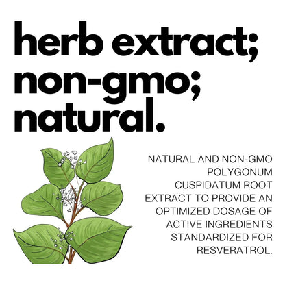 Capsulas Resveratrol 99 Pureza Trans Resveratrol Extracto Knotweed Japonés 60 Caps