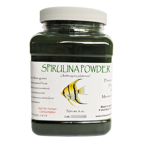 Espirulina En Polvo 8 Oz Nutricion Premium Para Peces Y Camarones