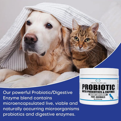 Probióticos En Polvo Para Perros Y Gatos Formulados Por Veterinarios Salud Digestiva E Inmunológica