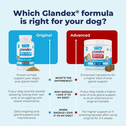 Glandex Suplemento De Fibra Para Perros Y Gatos Calabaza Enzimas Digestivas