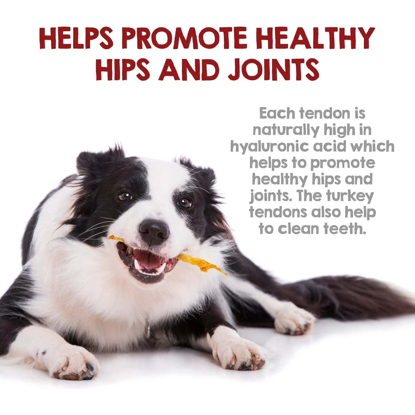 Tendones De Pavo Masticables Para Perros 100 Naturales Golosina Saludable