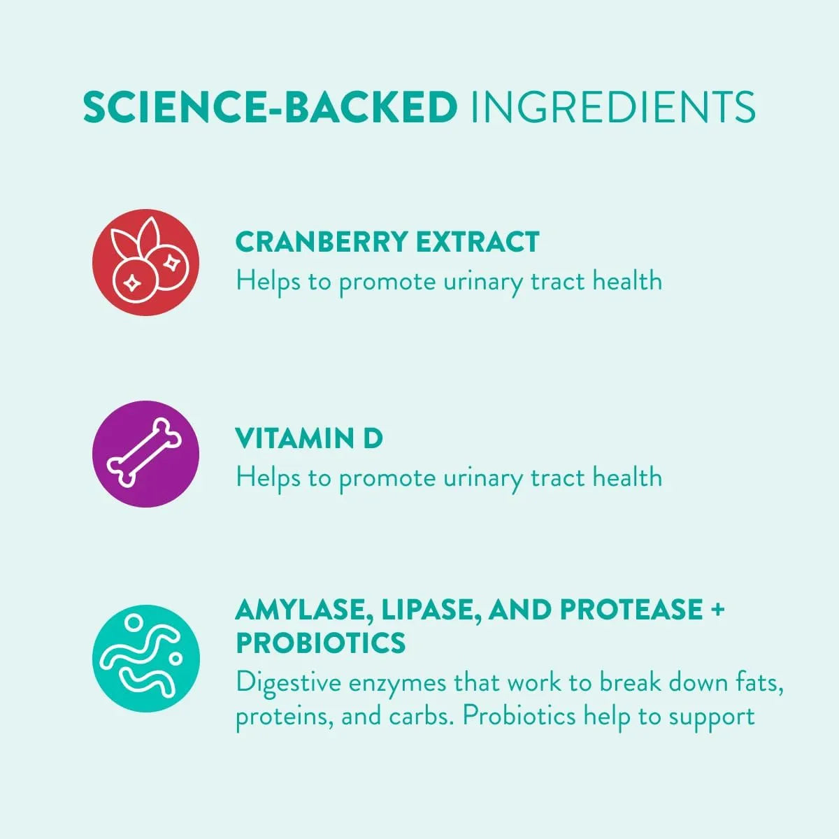 Enzimas Digestivas Y Probióticos Para Mujer Apoyo Digestivo Friska