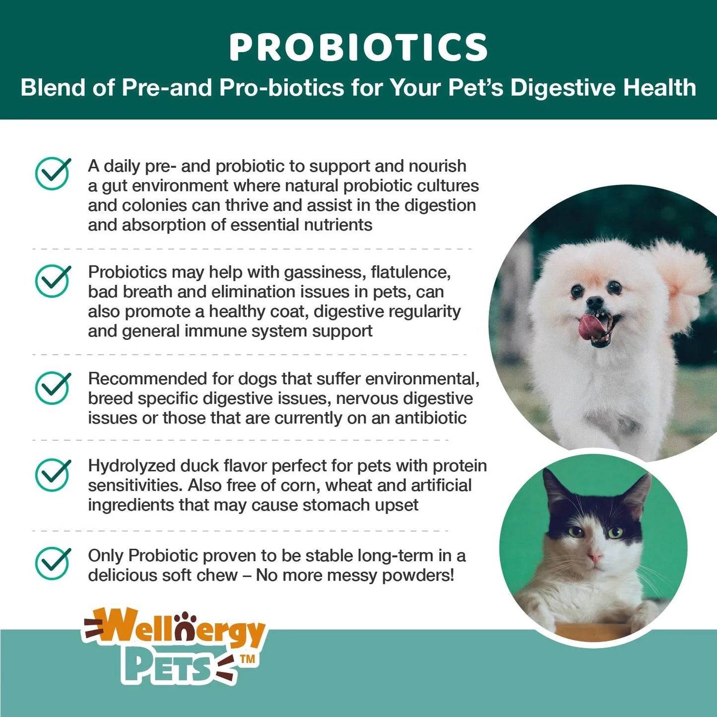 Wellnergy Probióticos Masticables Para Perros Y Gatos Apoyo Digestivo E Inmunológico