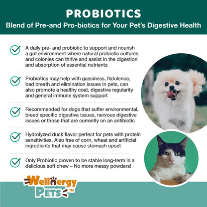 Wellnergy Probióticos Masticables Para Perros Y Gatos Apoyo Digestivo E Inmunológico