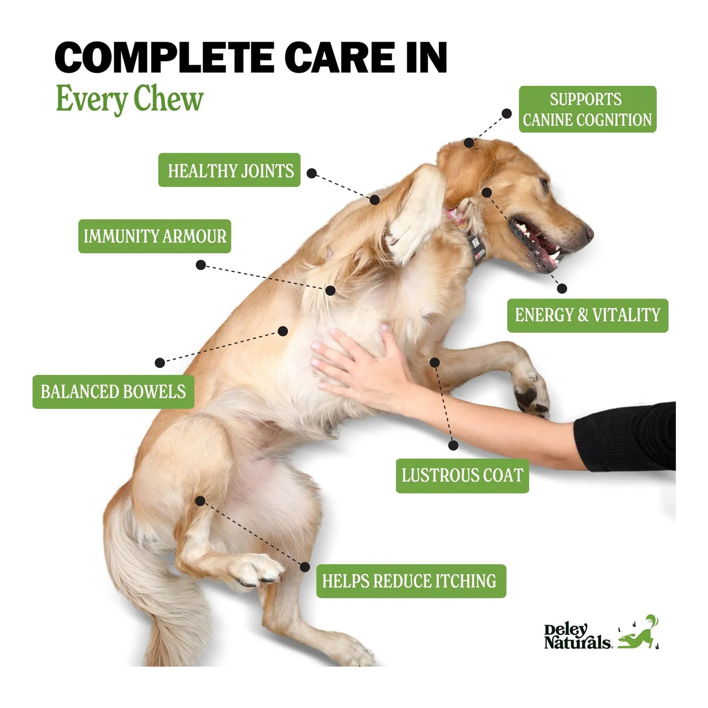 Multivitaminas Masticables Para Perros Apoyo Inmunológico Articulaciones Y Piel 120 Unidades