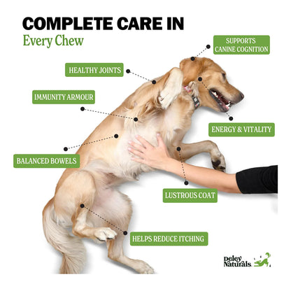 Multivitaminas Masticables Para Perros Apoyo Inmunológico Articulaciones Y Piel 120 Unidades