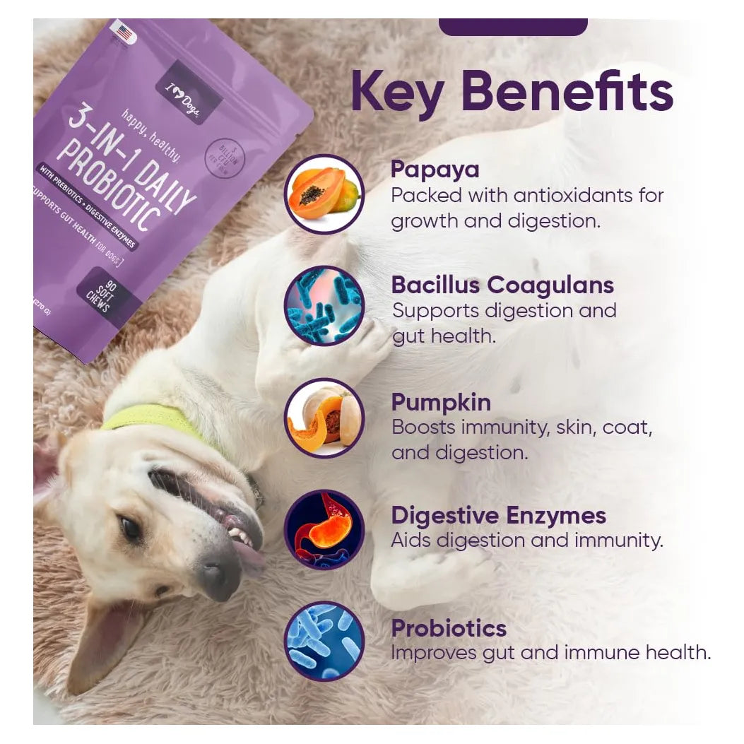 Probiótico 3 En 1 Para Perros Con Calabaza Mejora Digestión Y Salud Intestinal 90 Unidades
