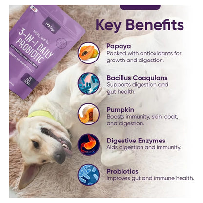 Probiótico 3 En 1 Para Perros Con Calabaza Mejora Digestión Y Salud Intestinal 90 Unidades