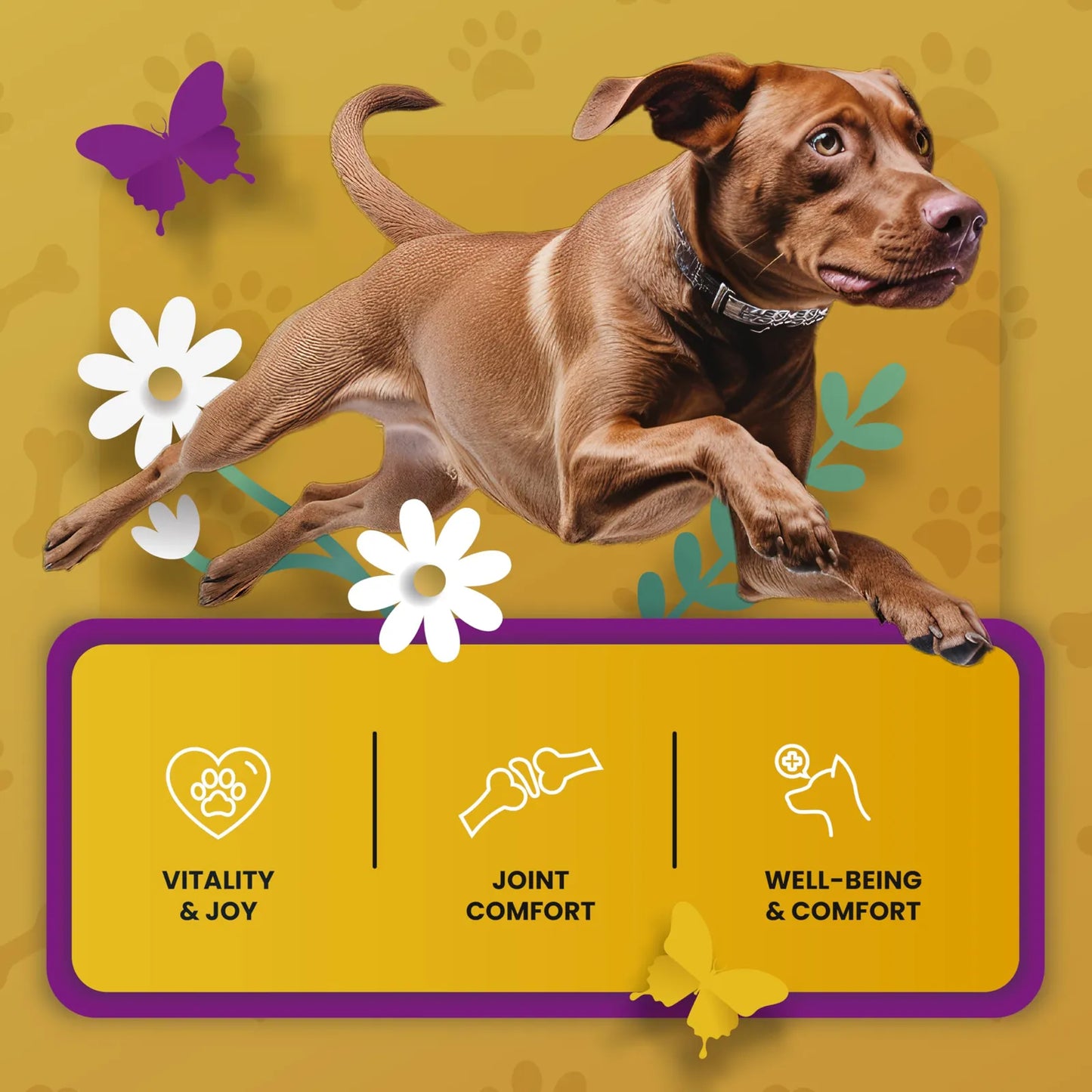 Suplemento Para Articulaciones De Perros Con Glucosamina Y Condroitina Apoyo Movilidad
