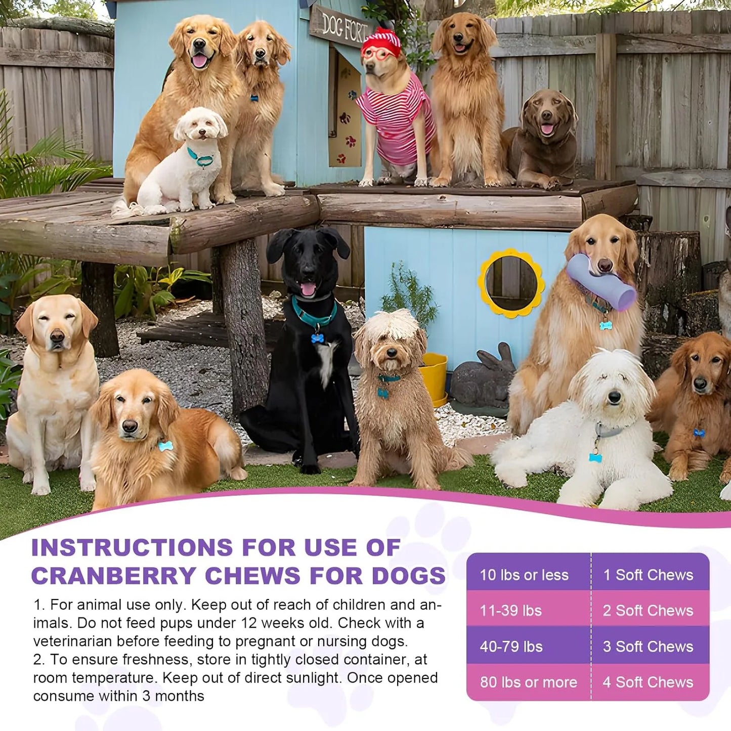 Masticables De Arándano Para Perros 200 Unidades Salud Urinaria Sabor Pollo