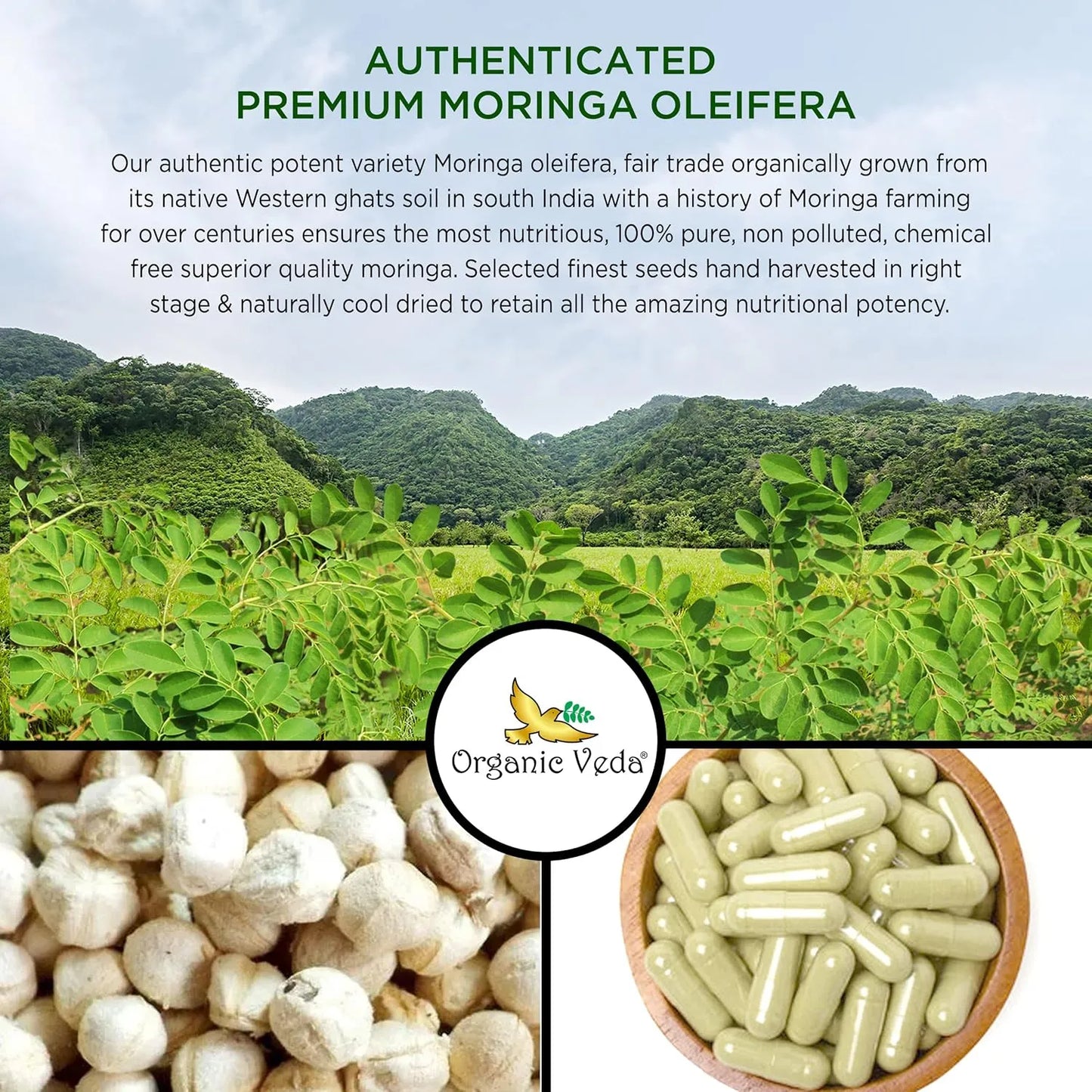Capsulas De Moringa Organica 1000 Mg Energia Piel Radiante Digestión Saludable