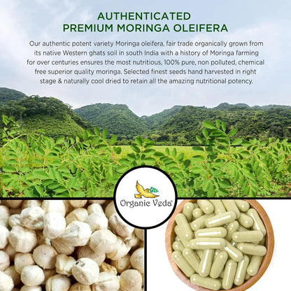Capsulas De Moringa Organica 1000 Mg Energia Piel Radiante Digestión Saludable