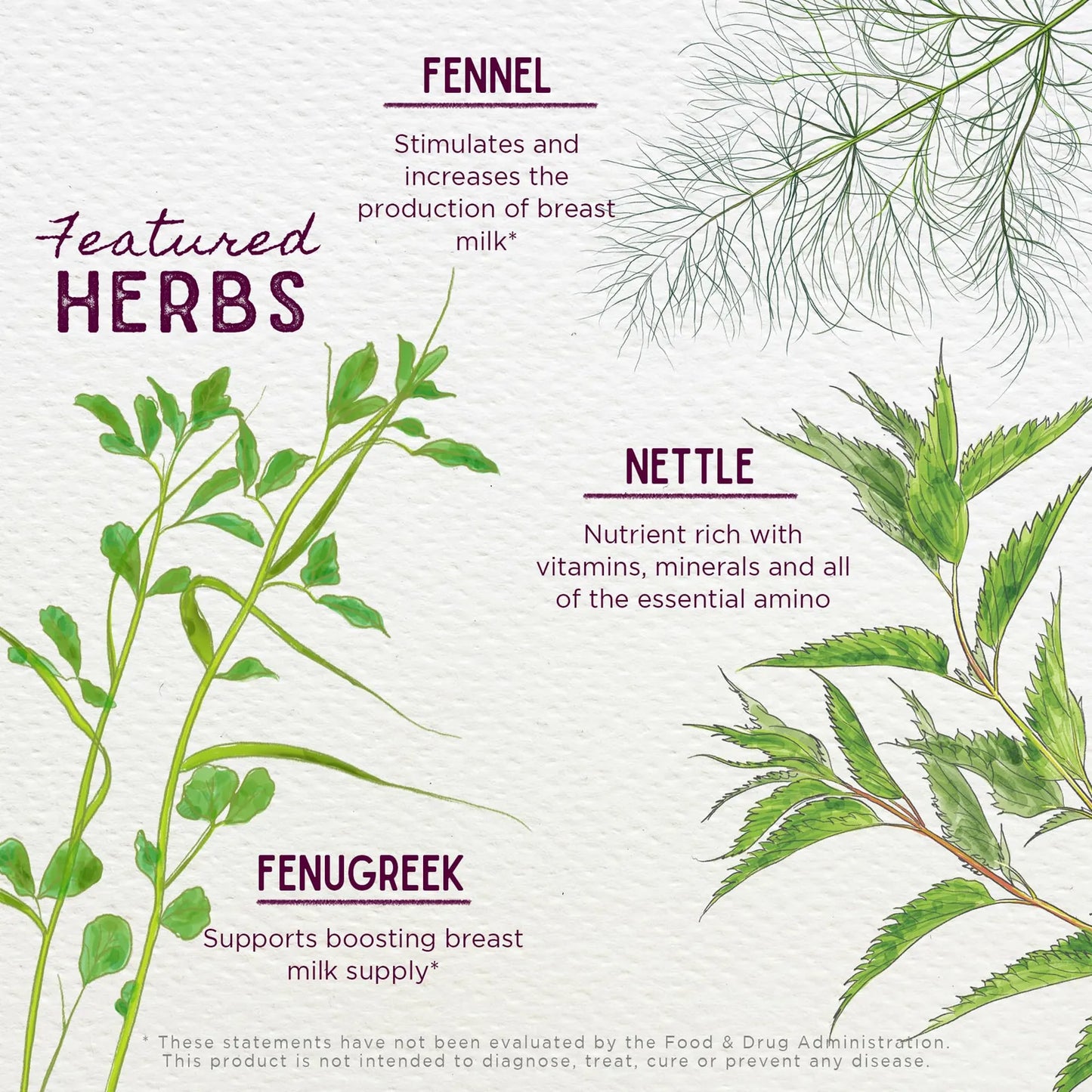 Suplemento Herbal Para Lactancia Aumenta Leche Materna Con Fenogreco Y Cardo Bendito