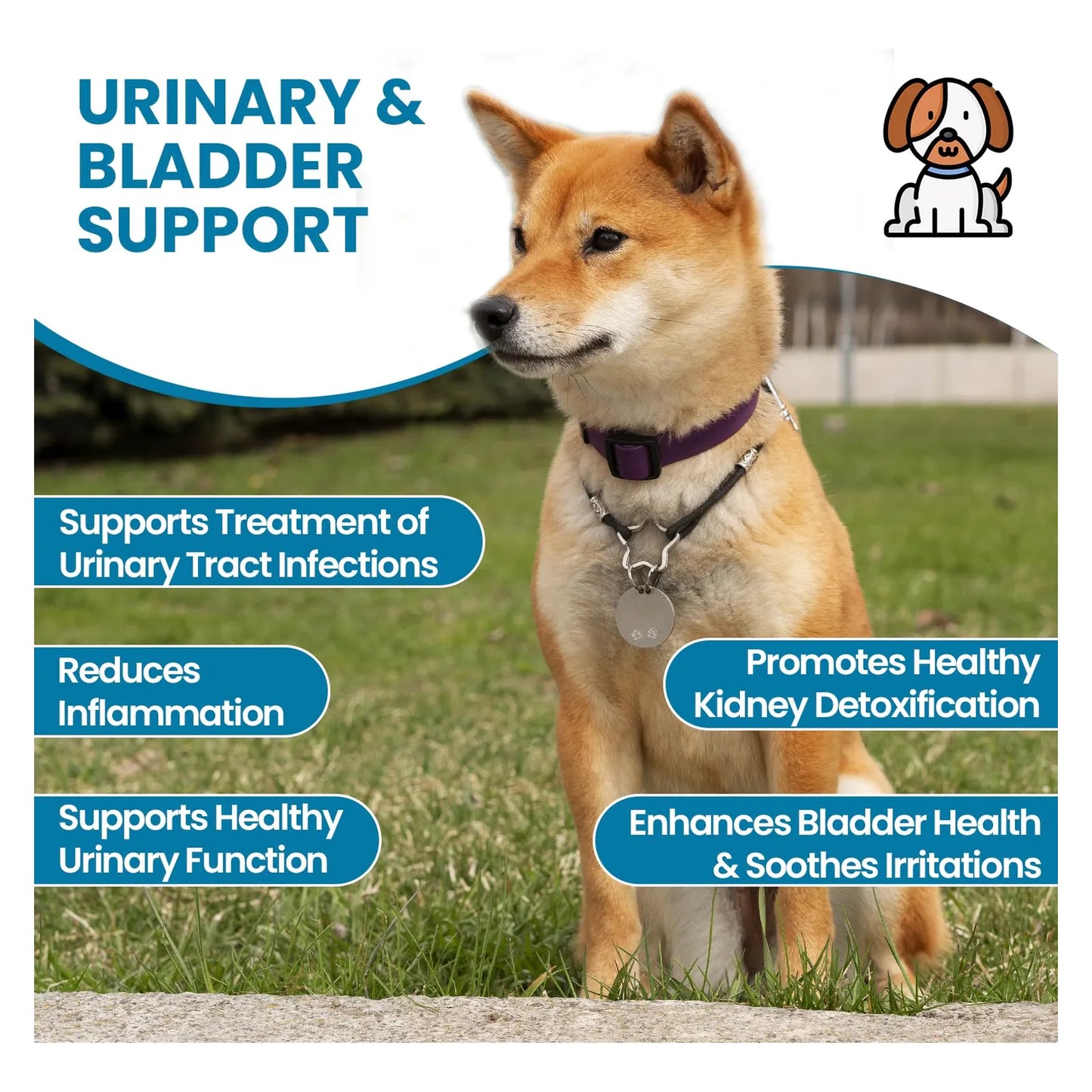 Masticables Para Perros Con Extracto De Arándano Tratamiento Infecciones Urinarias