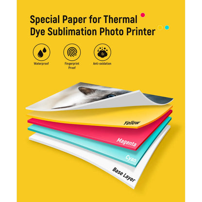 Papel Fotográfico 10x15 Cm Y Cartucho Repuesto Para Impresora DHP512/DHP513 40 Hojas