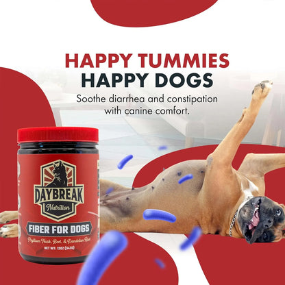 Suplemento De Fibra Natural Para Perros Con Psyllium Y Prebióticos Alivia Estreñimiento Y Diarrea