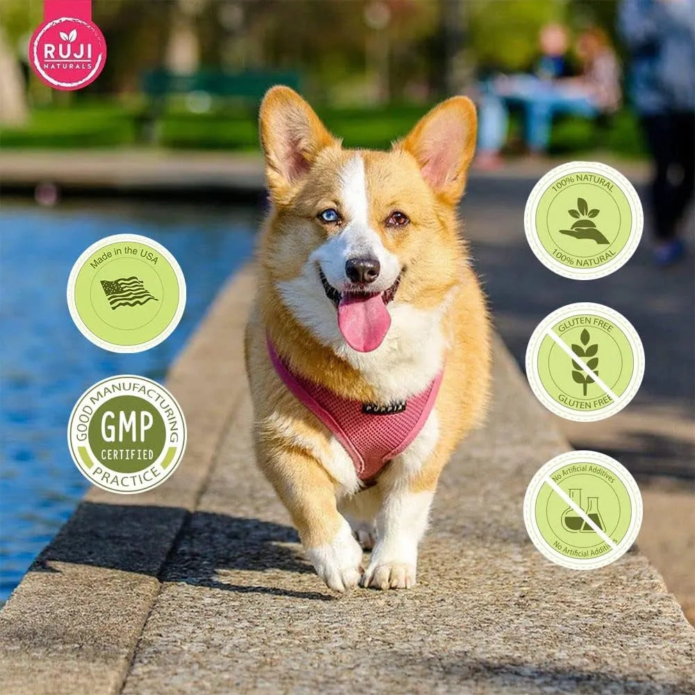 Golosinas Superalimento 6 En 1 Para Perros Con Moringa Orgánica Refuerzo Inmunológico Y Multivitamínico