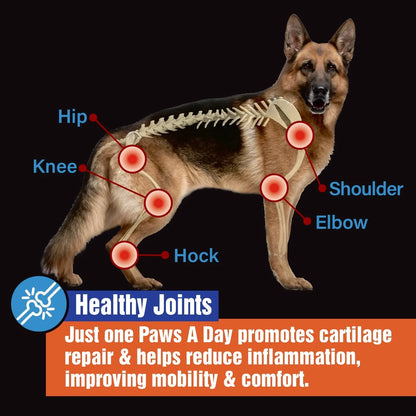 Glucosamina Para Perros Cuidado Articulaciones Mejora Piel Y Pelaje