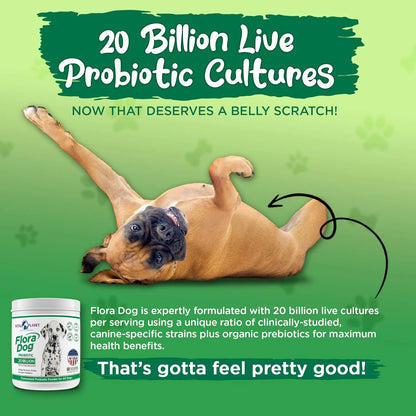 Polvo Probiótico Para Perros Flora 20 Mil Millones Cultivos Vital Planet