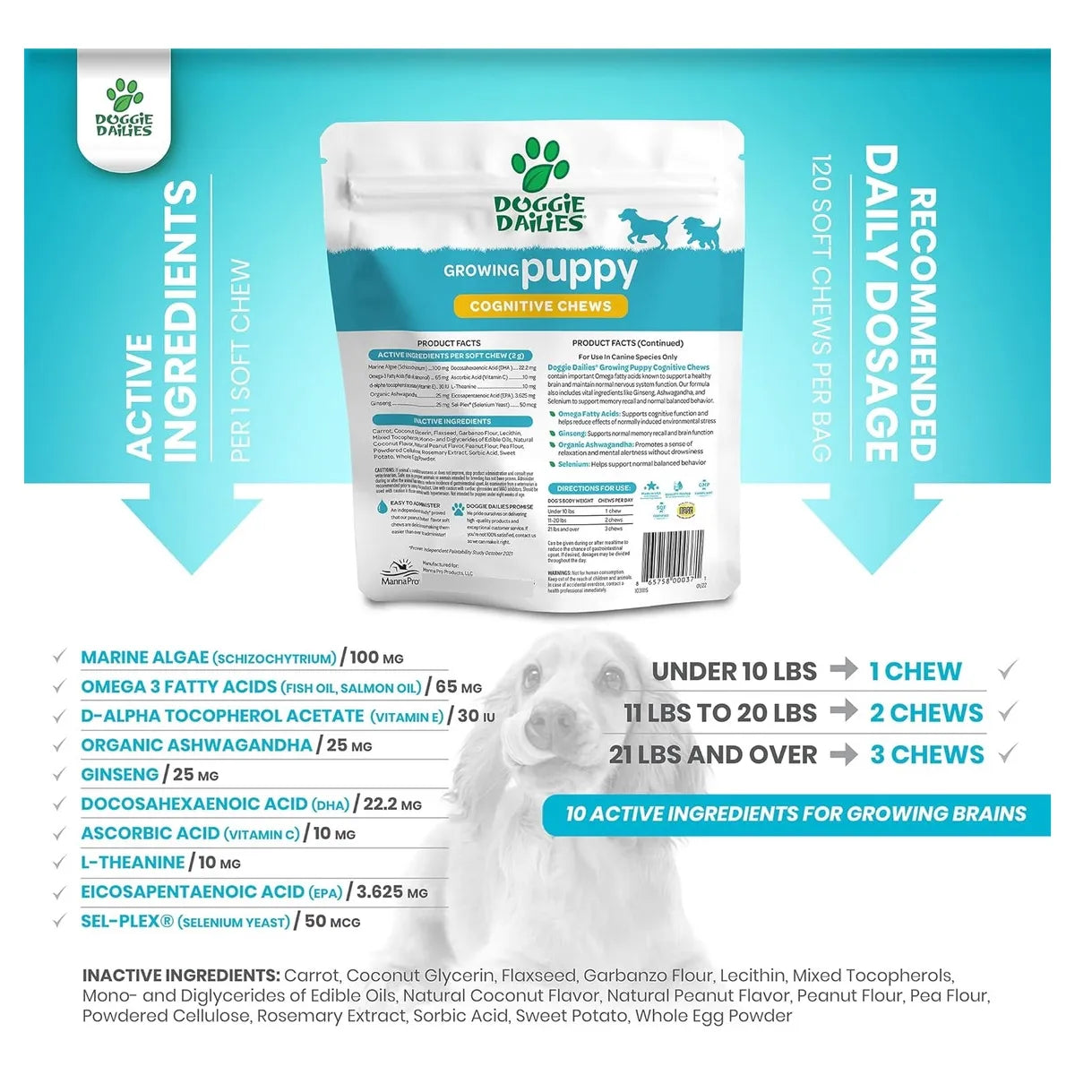 Masticables Cognitivos Para Cachorros Con DHA Y Selenio Desarrollo Cerebral