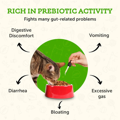 Prebiótico Herbal Salud Intestinal Para Perros Y Gatos Mezcla Orgánica Veterinario