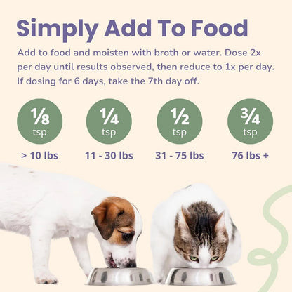 Antiinflamatorio Natural Para Perros Y Gatos Alivia Dolor Articulaciones Artritis Mejora Movilidad