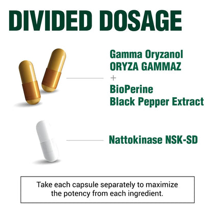 Nattoquinasa Y Gamma Oryzanol Suplemento Para Corazón Y Circulación LABO Nutrition