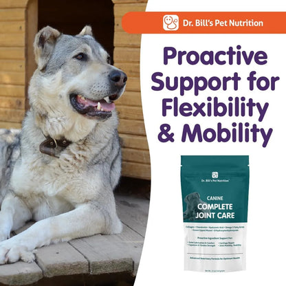 Cuidado Completo Para Caderas Y Articulaciones De Perros Con