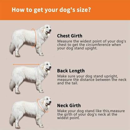 Chaleco Salvavidas Para Perros Ajustable Con Diseño De Tiburón
