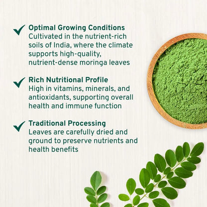Polvo De Moringa Orgánico 250g Superalimento Nutritivo Energía Natural