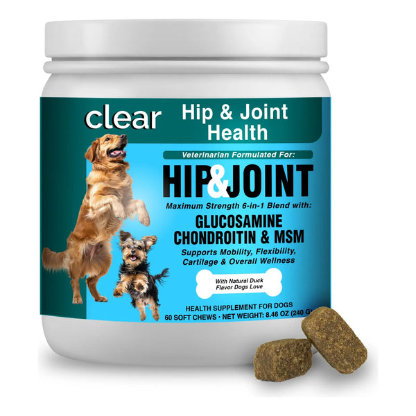 Suplemento Articulaciones Perro Condroitina Glucosamina MSM Mejillon Labios Verdes Movilidad Cadera