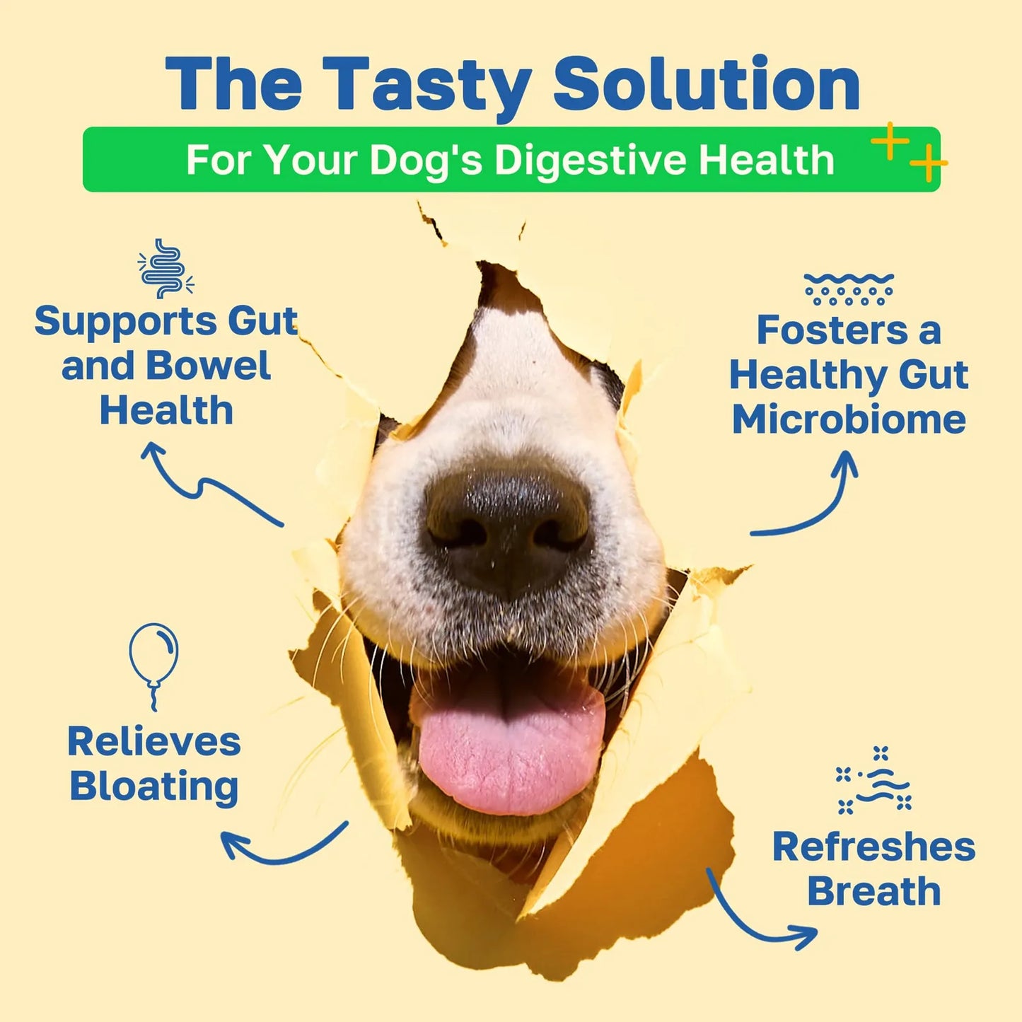 Masticables Probióticos Para Perros Salud Intestinal Sabor Pollo Vegano