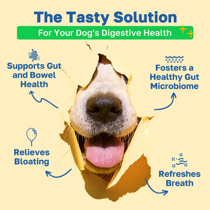 Masticables Probióticos Para Perros Salud Intestinal Sabor Pollo Vegano