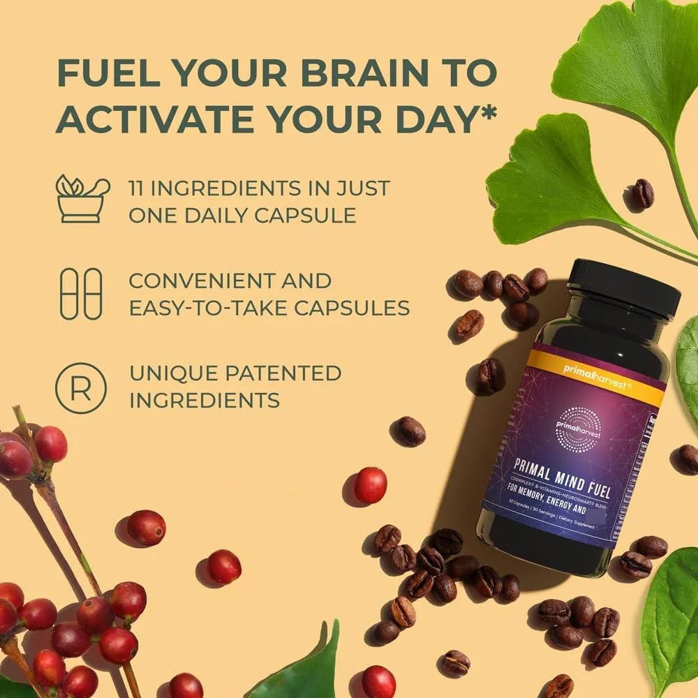 Primal Mind Fuel Brain Booster Paquete X2 Enfoque Memoria Energía