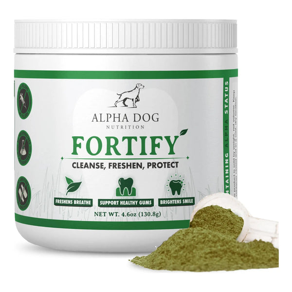 Polvo Dental Fortify Para Perros Limpieza Profunda Con Algas Y Probióticos