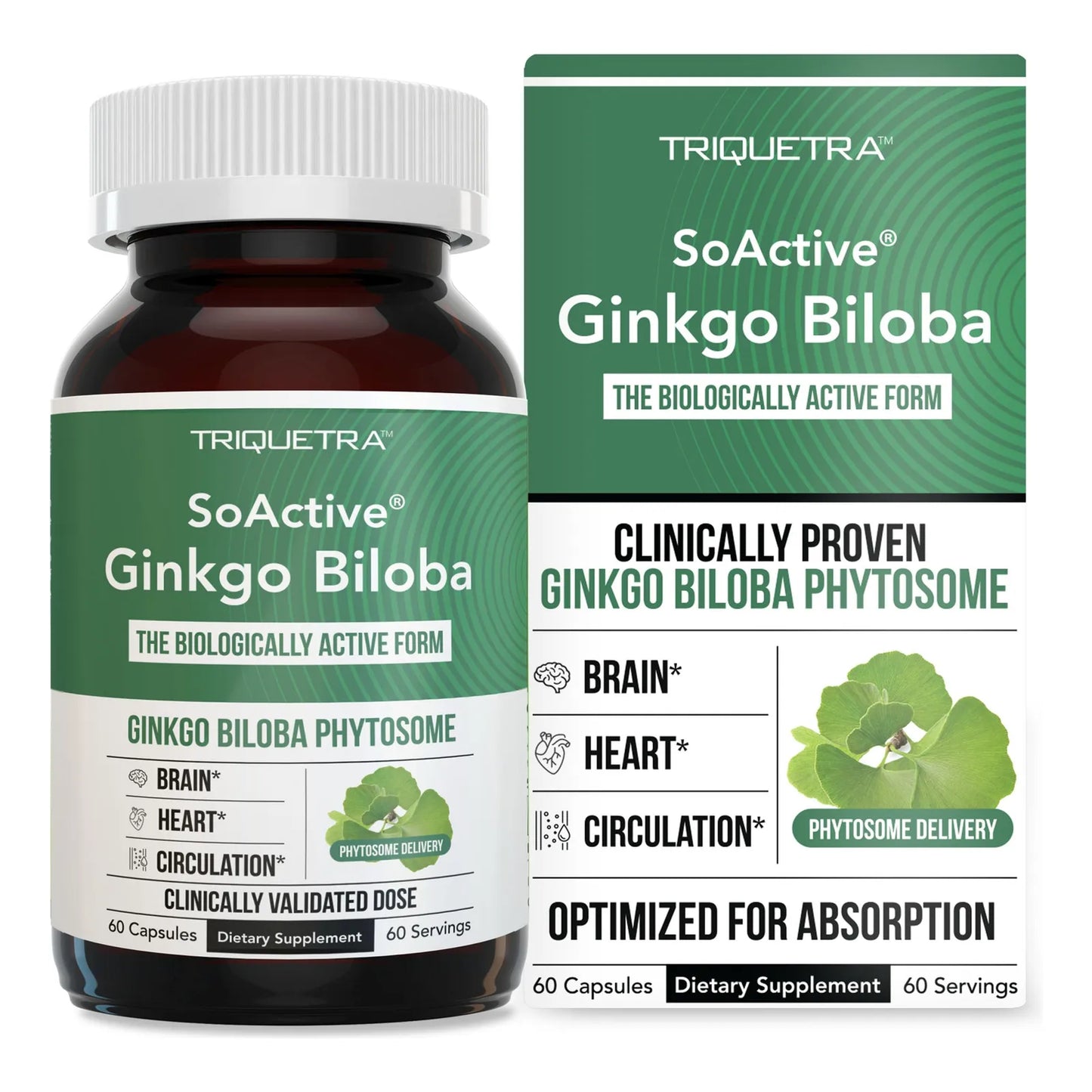 SoActive Ginkgo Biloba Fitosoma 180 Mg 300 Mejor Absorcion Memoria Enfoque
