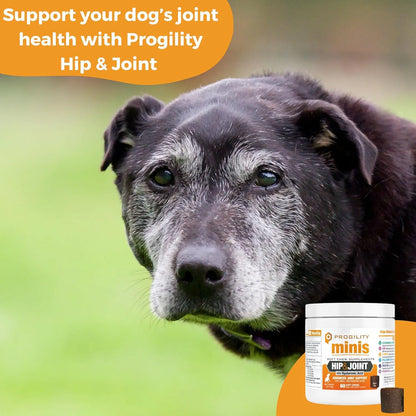 Nootie Progility Mini Masticables Para Perros Pequeños Y Medianos 60 Unidades