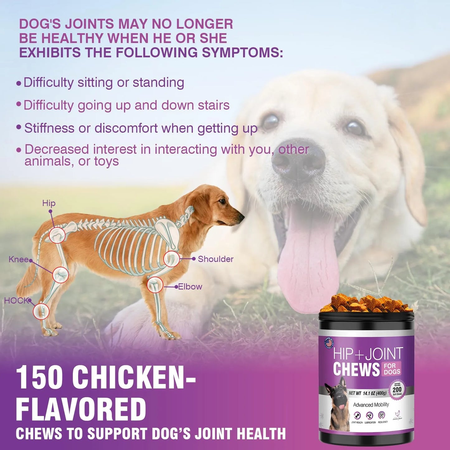 Glucosamina Para Perros 200 Unidades Suplemento Articular Con Condroitina Y MSM
