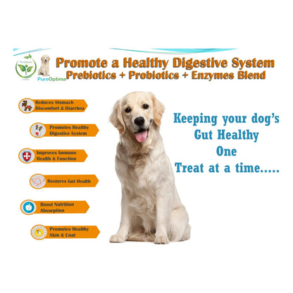 Probióticos Masticables Para Perros Con Enzimas Digestivas Mejora La Salud Intestinal