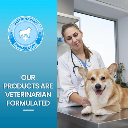 Masticables Para Perros Con Extracto De Arándano Tratamiento Infecciones Urinarias